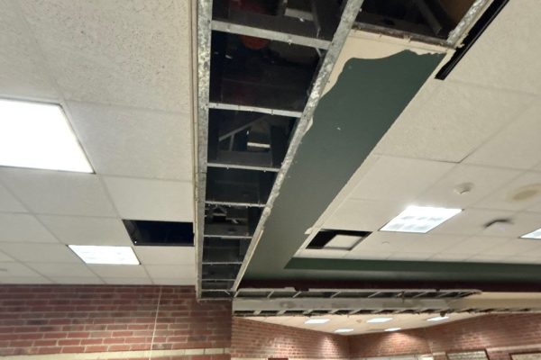 3-Nov 24 2025 08_31pm-WEzM